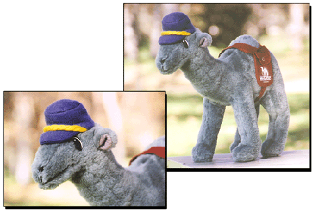 Kal Toy