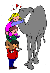 Kalvinkids
