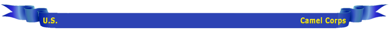menu ribbon
